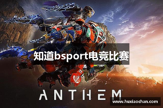 知道bsport电竞比赛